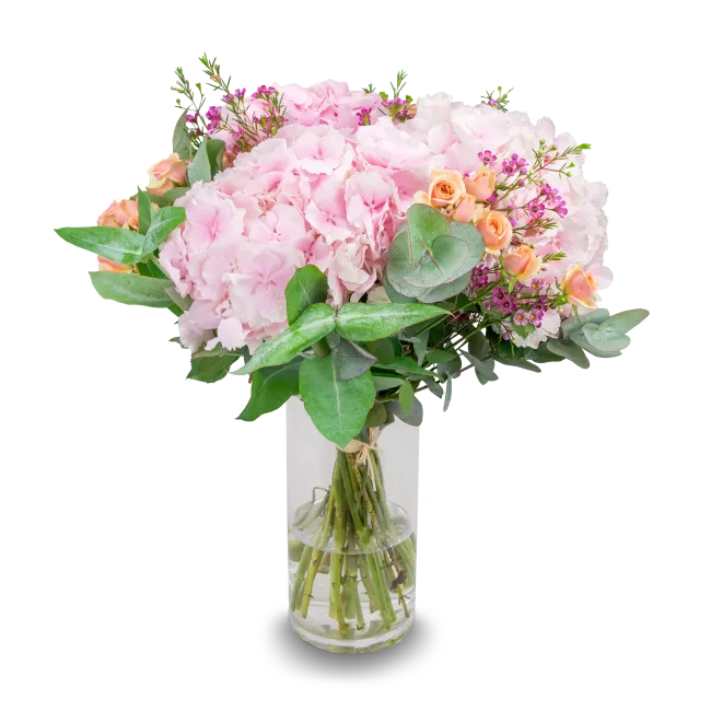 A bouquet of hydrangeas